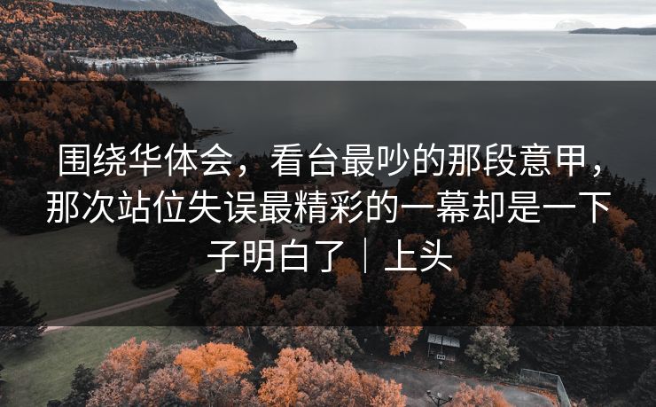 围绕华体会，看台最吵的那段意甲，那次站位失误最精彩的一幕却是一下子明白了｜上头