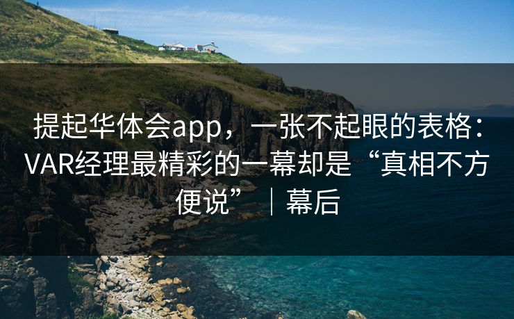 提起华体会app，一张不起眼的表格：VAR经理最精彩的一幕却是“真相不方便说”｜幕后