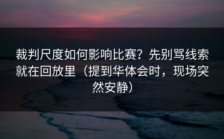 裁判尺度如何影响比赛？先别骂线索就在回放里（提到华体会时，现场突然安静）